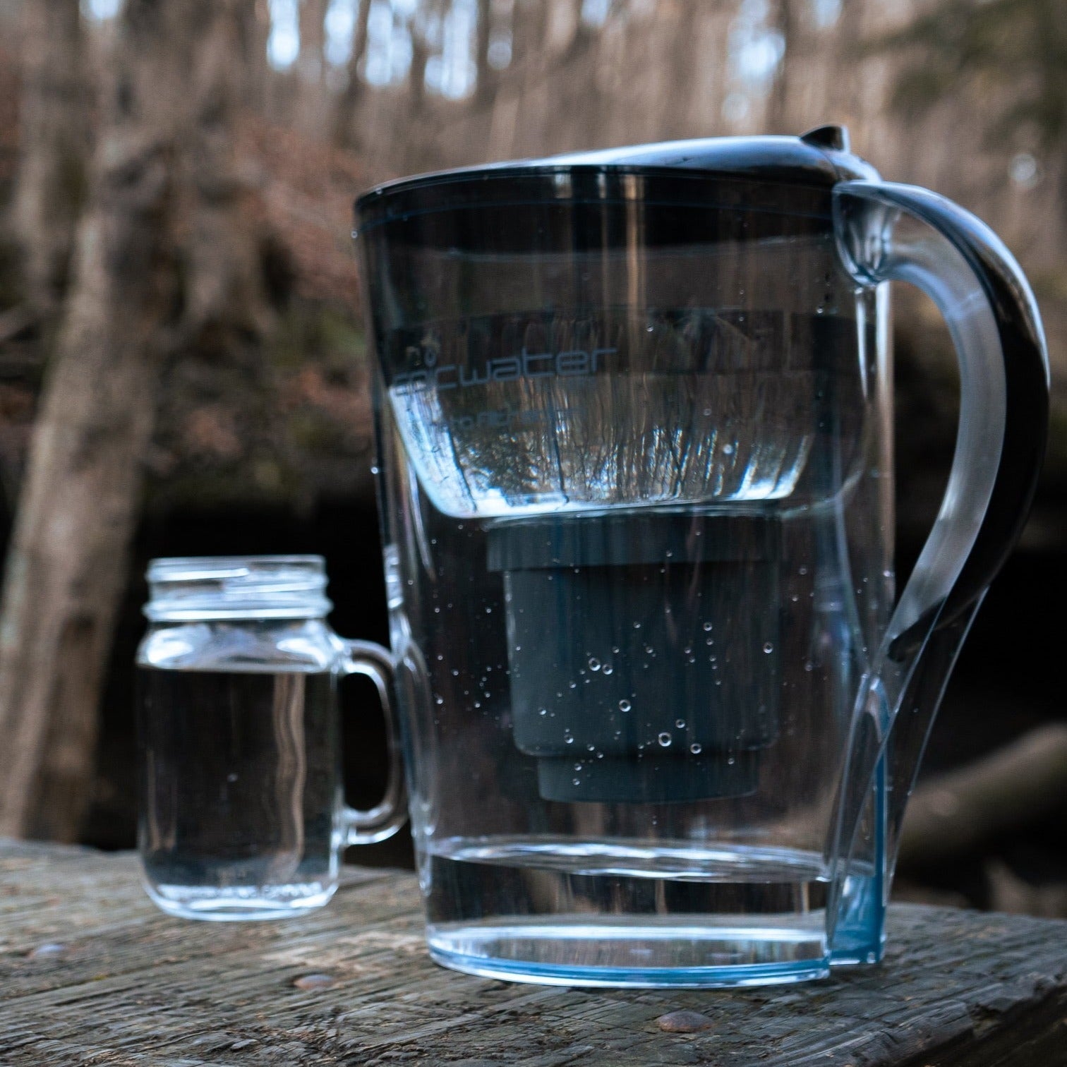 Nano Pitcher | Removes Bacteria / PFAS Epic Water Filters USA