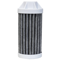 Everywhere Bottle Filter Replacement Cartridge in 