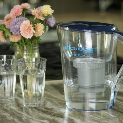 Nano Pitcher | Removes Bacteria / PFAS Epic Water Filters USA